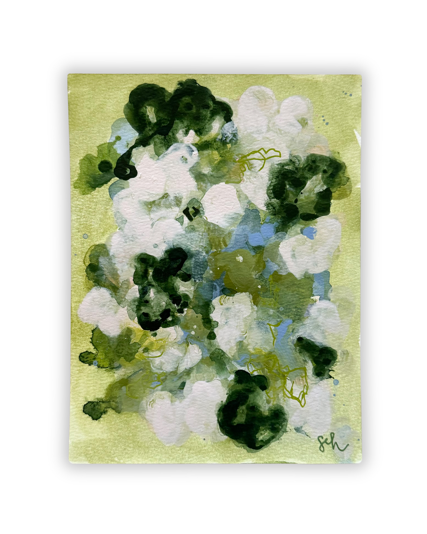 verdant bloom