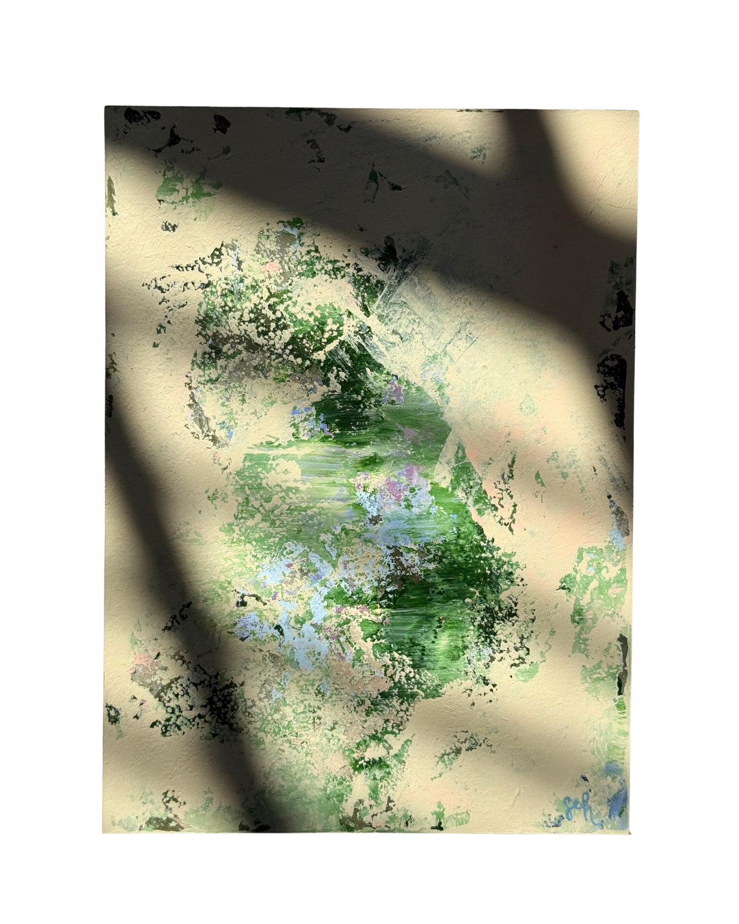 "Under the Canopy"