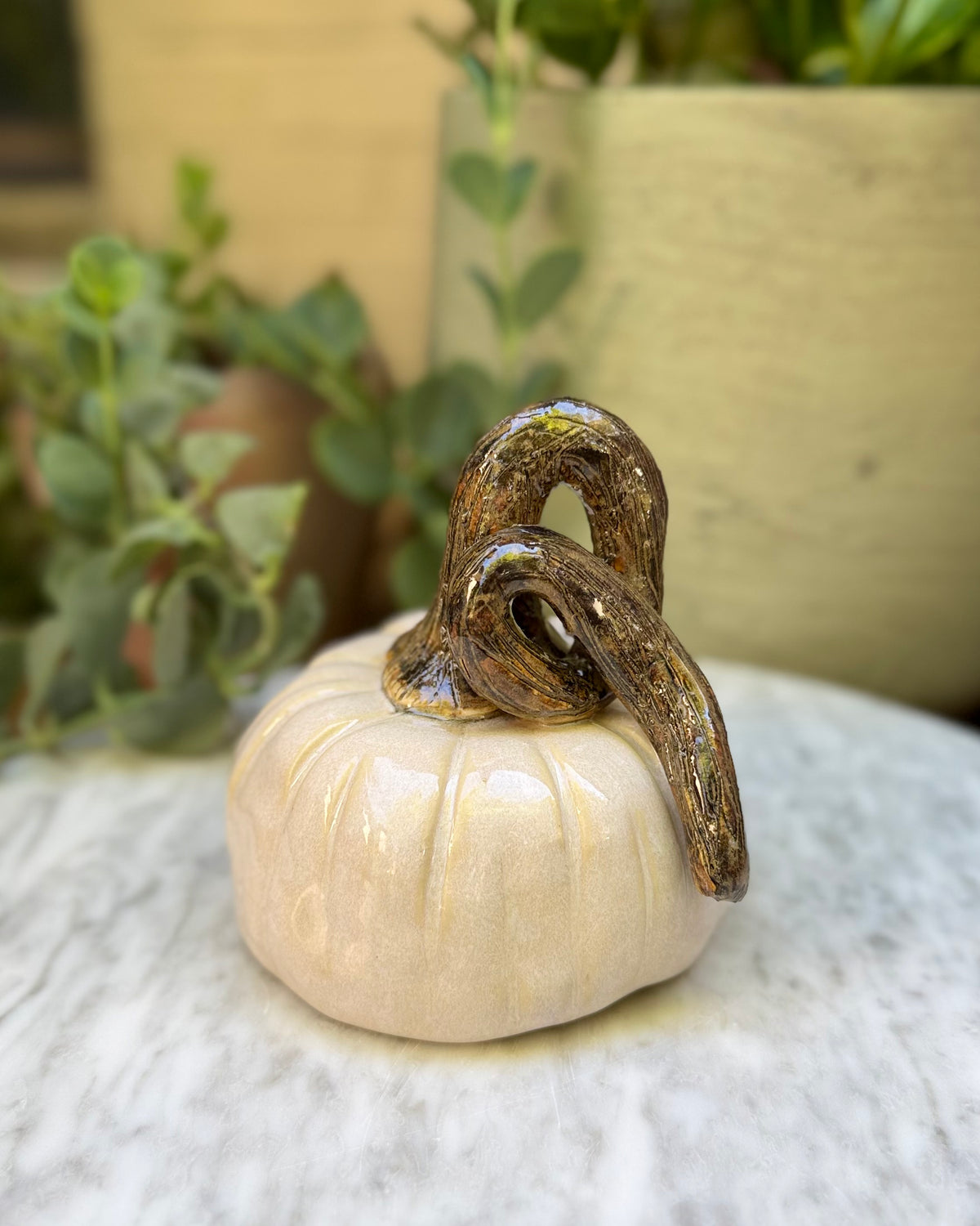 Ivory Pumpkin No. 03