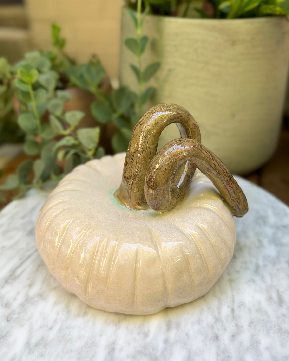 Ivory Pumpkin No. 01