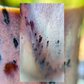 A close-up of a textured surface, likely a ceramic mug or pot, featuring a central rectangular inset showing a detailed view of dark spots and a reddish-brown mark on a pinkish-beige textured background.