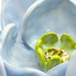 Grand Gilded Ceramic Flower | Wall or Tabletop Display