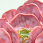Grand Gilded Ceramic Flower | Wall or Tabletop Display