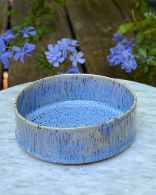 Cornflower Dish