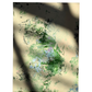 "Under the Canopy"