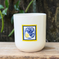 Little Oysters Cup No. 03