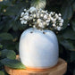 Flower Frog Bud Vase | No. 7