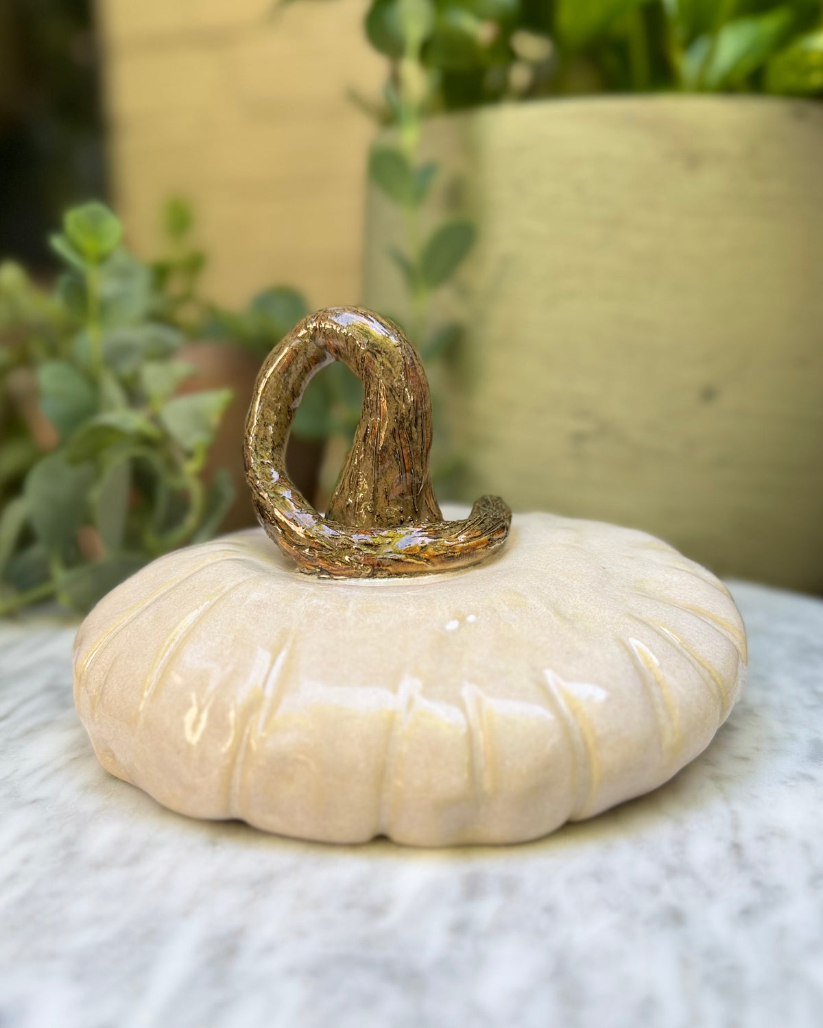 Ivory Pumpkin No. 02