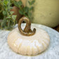 Ivory Pumpkin No. 02