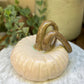 Ivory Pumpkin No. 01