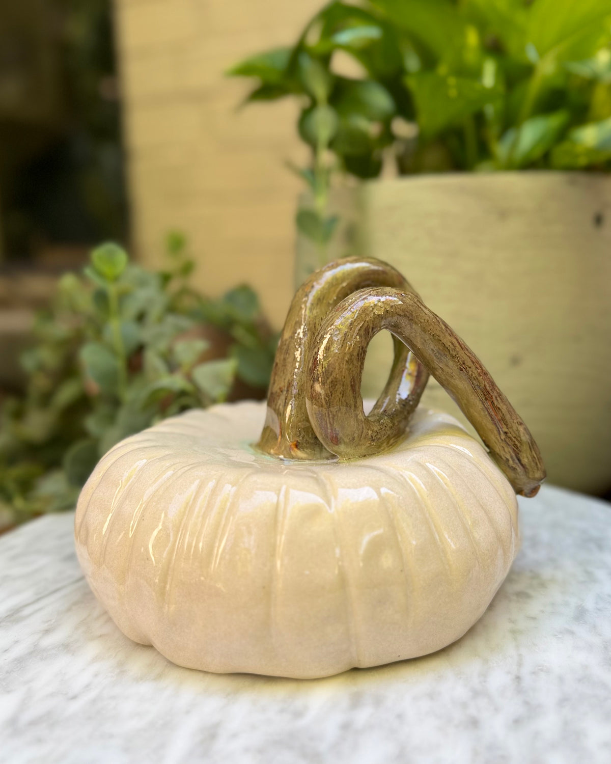 Ivory Pumpkin No. 01
