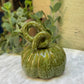 Moss Pumpkin No. 01